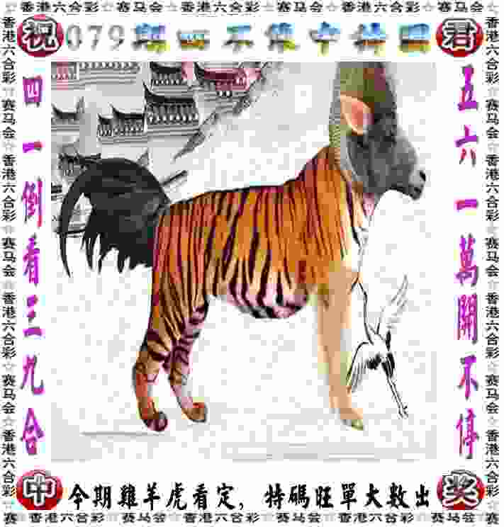 韩梅获速滑全能世锦赛个人最好名次